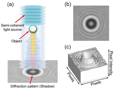 Fig. 1.