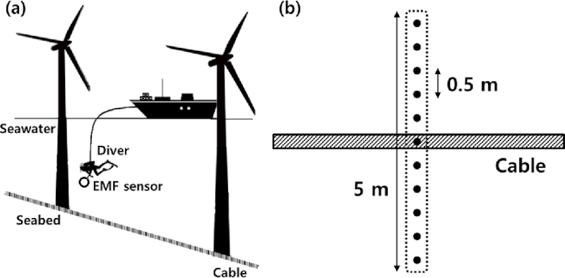 Fig. 3. 