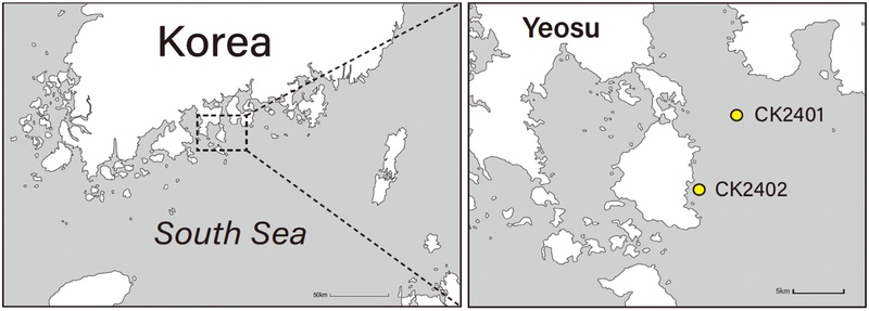 Fig. 1. 